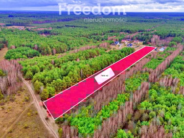 Działka rolna Kalinowo