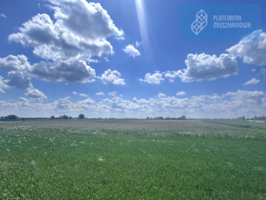 Działka Tarnowo Podgórne