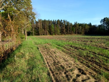 Działka budowlana Darżkowo