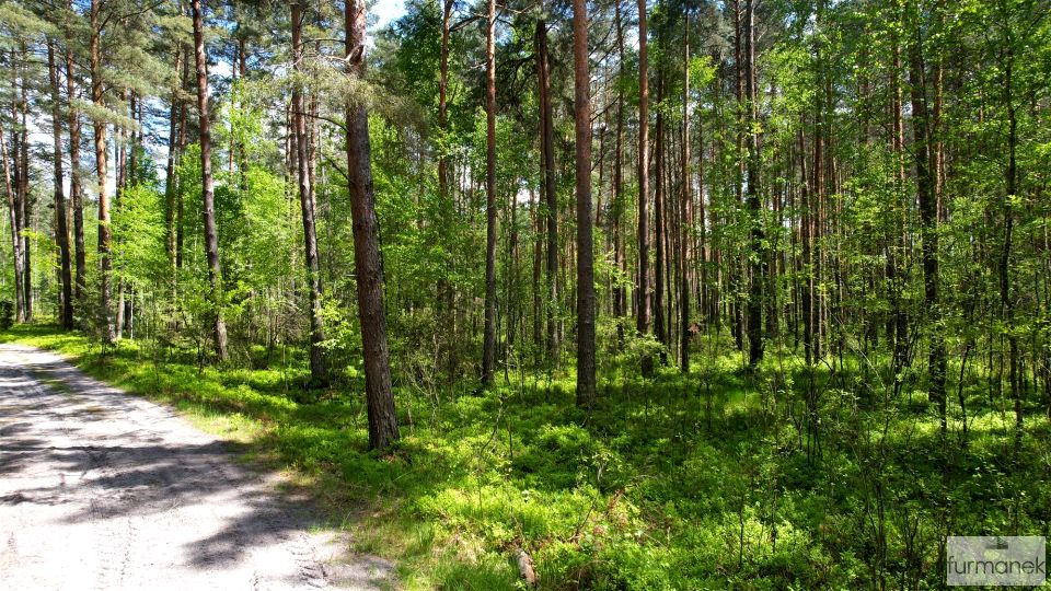 Działka Osuchy