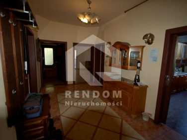 Lokal Opole