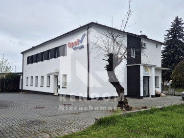 Lokal Opole