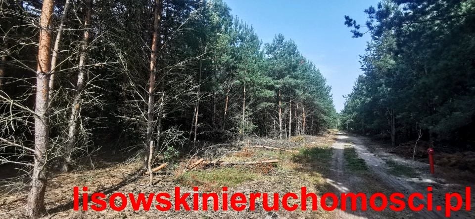 Działka Konarzew