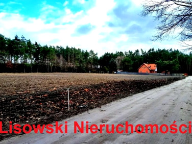 Działka Anielin Swędowski