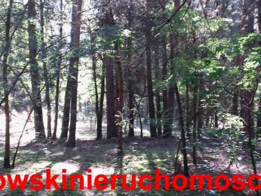 Działka Stefanów