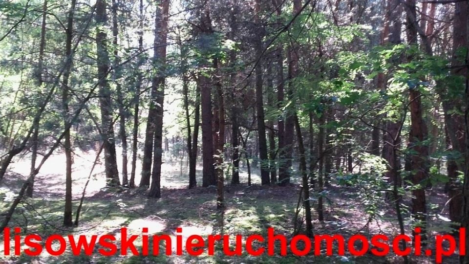 Działka Stefanów