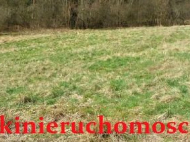 Działka budowlano-rolna Wartkowice