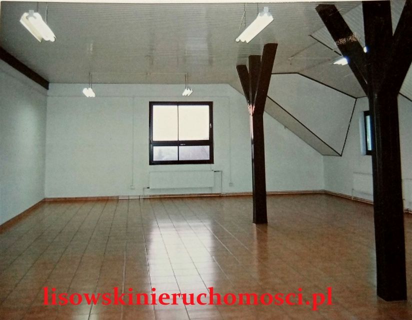Lokal Brzeziny