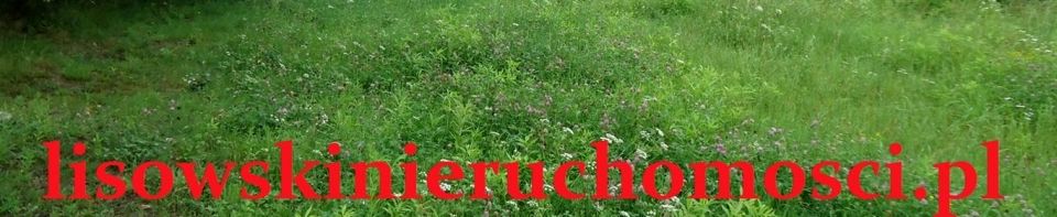 Działka budowlana Feliksów
