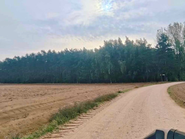Działka Konarzew