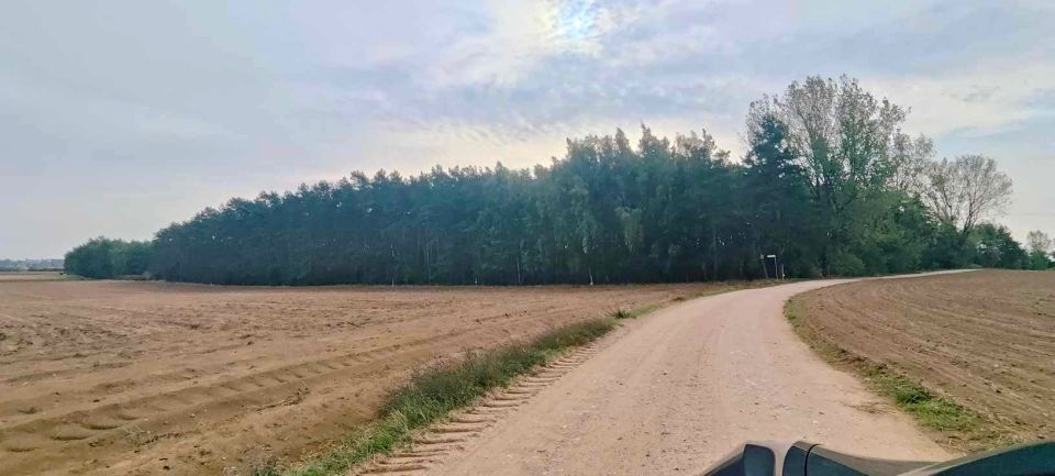 Działka Konarzew