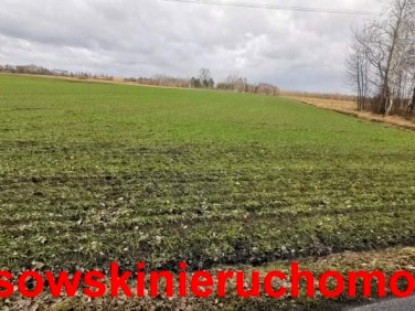 Pusta działka Konarzew