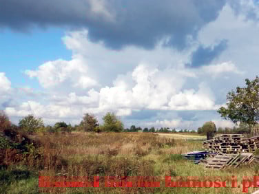 Działka inwestycyjna Ozorków
