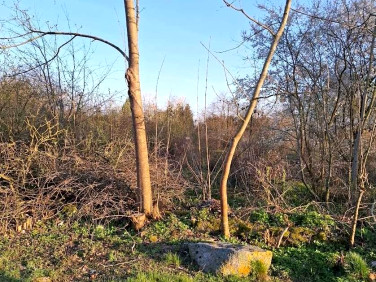 Działka Nowy Jasiniec