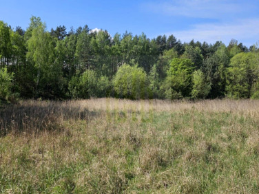 Działka usługowa Nowe Budy