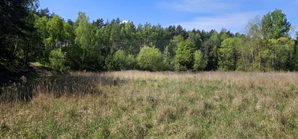Działka usługowa Nowe Budy