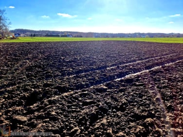 Działka budowlana Wilków