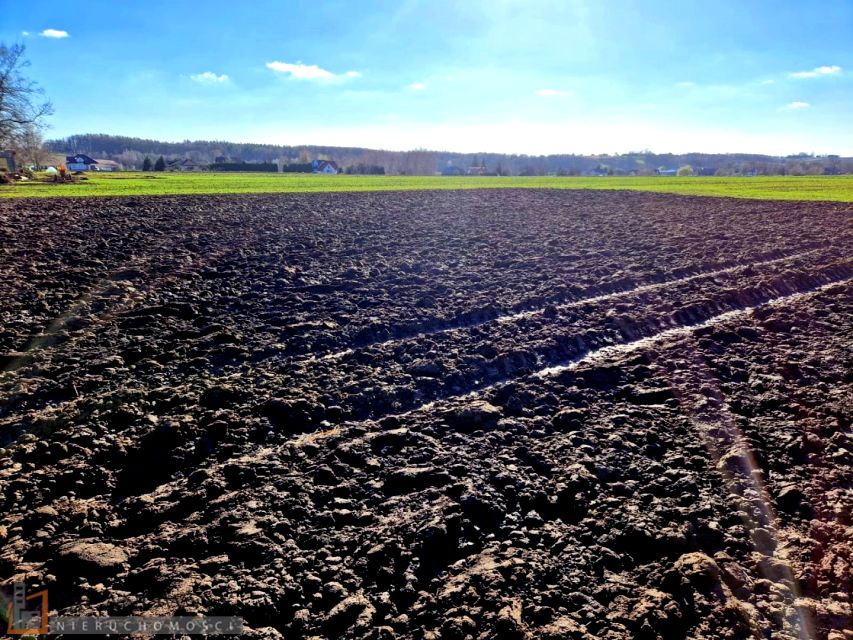Działka budowlana Wilków