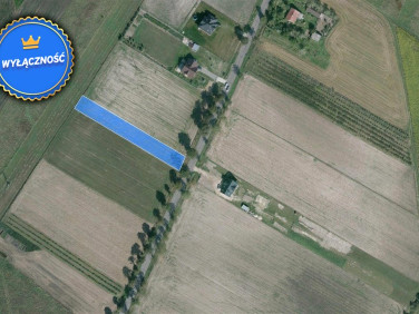 Działka budowlana Wola Sernicka