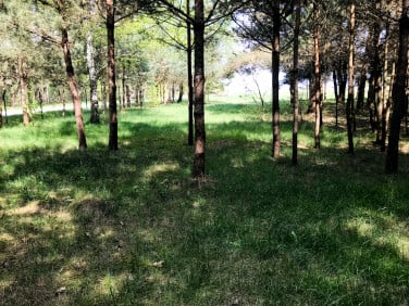 Działka budowlana Fałków