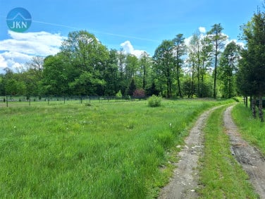 Działka Leśna