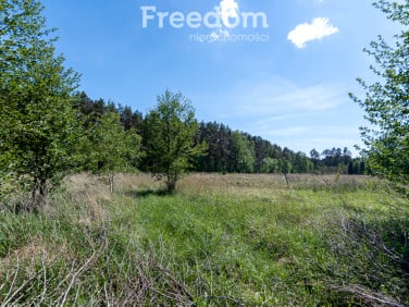 Działka Kotuń