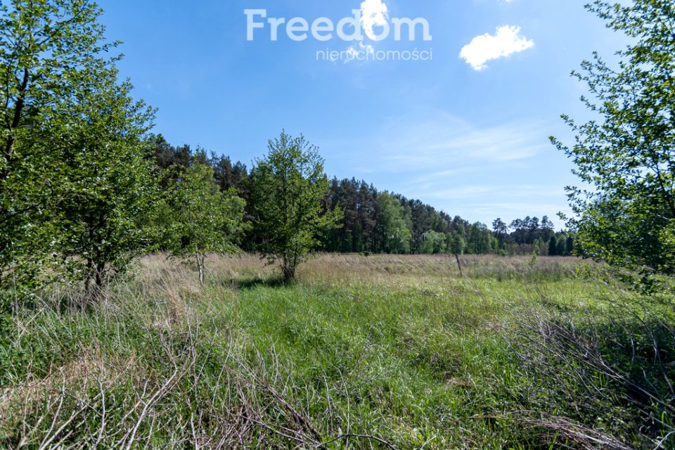 Działka Kotuń
