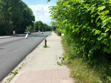Ogrodzona działka Jędrzejów