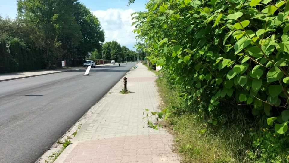 Ogrodzona działka Jędrzejów