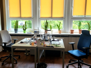 Lokal Poznań