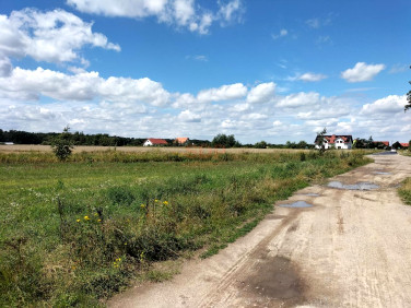 Działka Siedlce