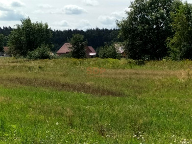 Działka Siedlce
