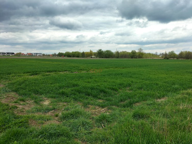Działka Siechnice