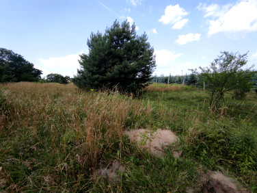 Działka Zawonia