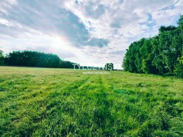 Działka nad rzeką