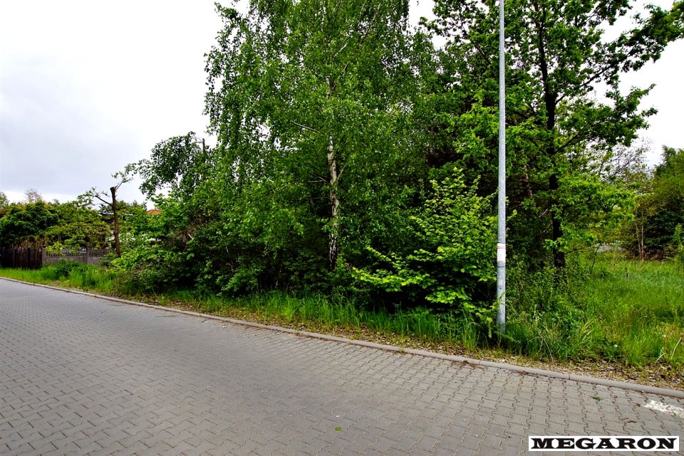 Zdjęcie 3