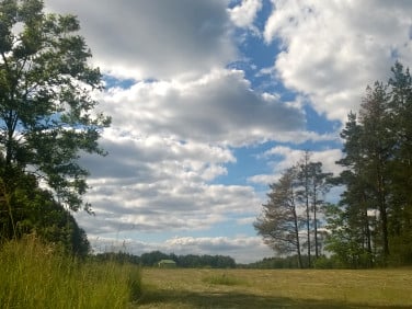 Działka budowlana Walne