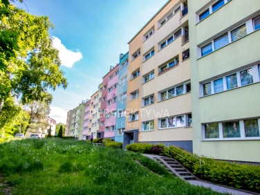 Mieszkanie Zielona Góra