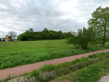 Działka budowlana Busko-Zdrój