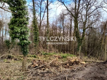 Działka budowlana Czarny Las