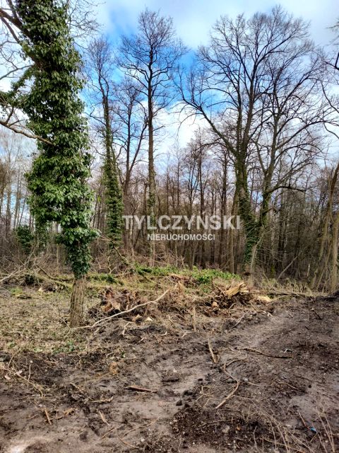 Działka budowlana Czarny Las
