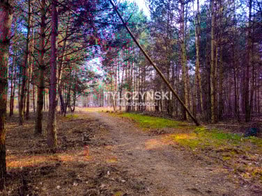 Działka budowlana Osowiec