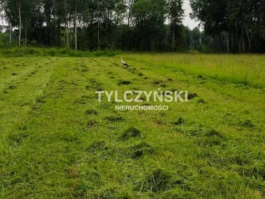Działka budowlana Kruszew
