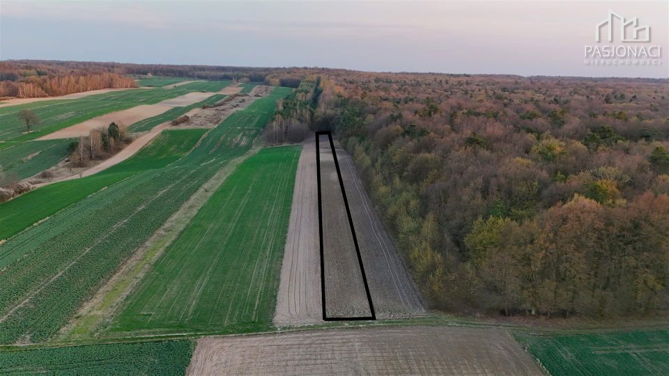 Działka rolna sprzedam