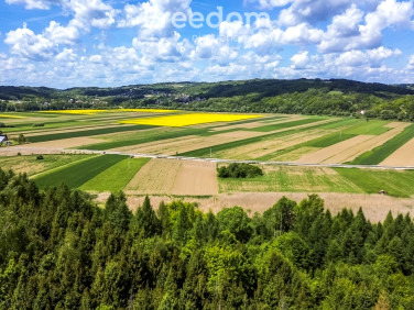 Działka budowlana Bachów