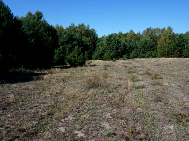 Działka Janiszów