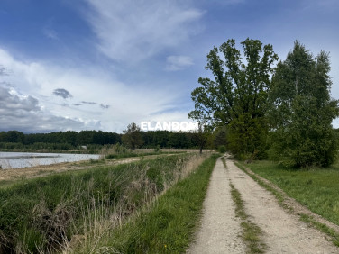 Działka Grzegorzewice