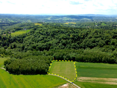 Działka siedliskowa Głobikowa