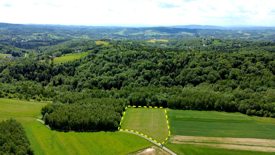 Działka siedliskowa Głobikowa