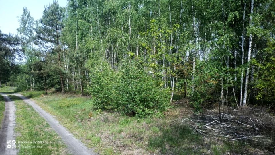 Działka budowlana Grabina Radziwiłłowska